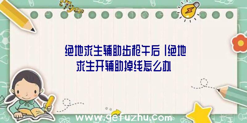 「绝地求生辅助步枪午后」|绝地求生开辅助掉线怎么办